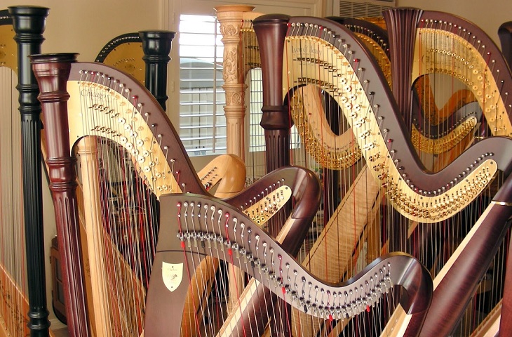 Harp lessons in Richmond